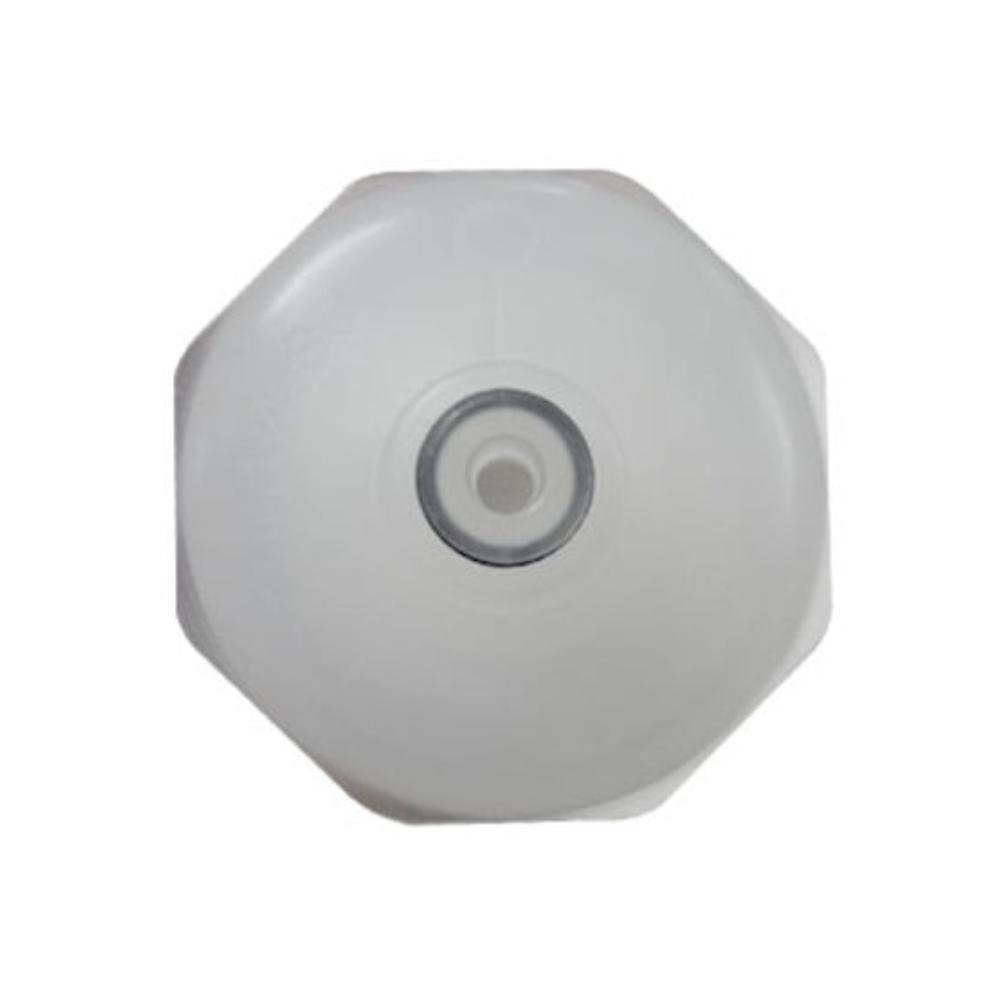 Pall Main filter 10 micron